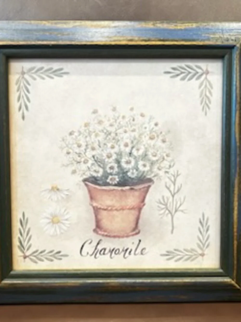 Set of 4 Vintage Watercolor French Country Herb Botanical Framed Prints